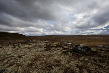 Image showing hardangervidda