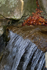 Image showing Water Spring