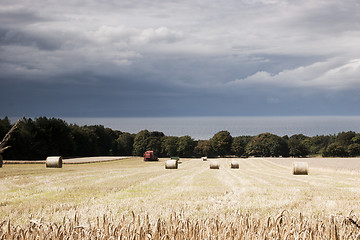 Image showing Arable landscape