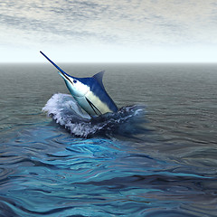Image showing BLUE MARLIN