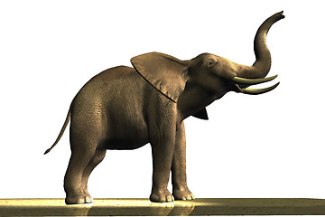 Image showing ELEPHANT