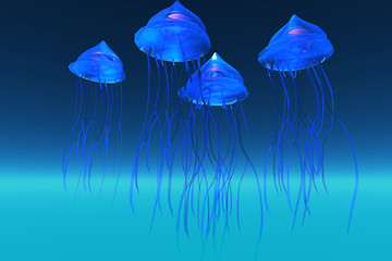 Image showing JELLYFISH