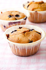 Image showing Blueberry muffins