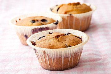 Image showing Blueberry muffins