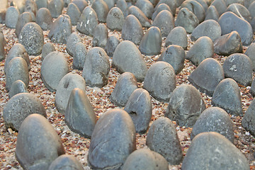 Image showing Pebbles