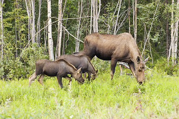 Image showing Mother and two kids