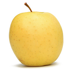 Image showing Yellow Apple