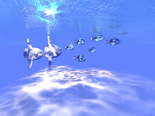 Image showing BLUE TANGO