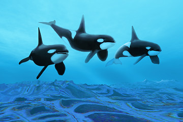 Image showing WHALE WORLD