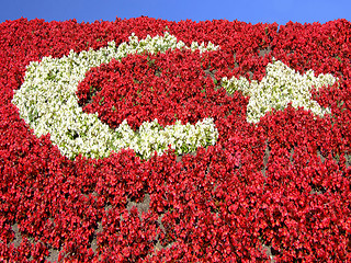Image showing Flag of flowers