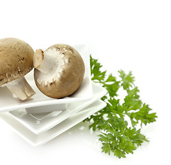 Image showing Mushrooms