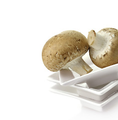 Image showing Mushrooms