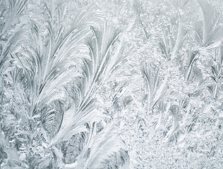 Image showing Frozen Window Background 