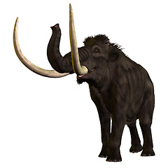 Image showing Woolly Mammoth 01