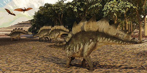 Image showing Stegosaurus