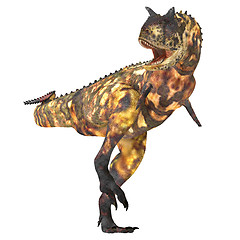 Image showing Carnotaurus 02