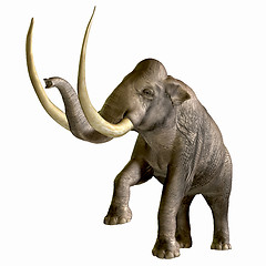 Image showing Columbian Mammoth 01