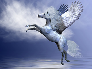 Image showing WHITE PEGASUS