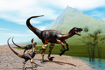 Image showing RAPTORS