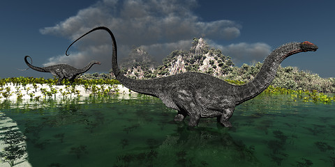 Image showing Apatasaurus