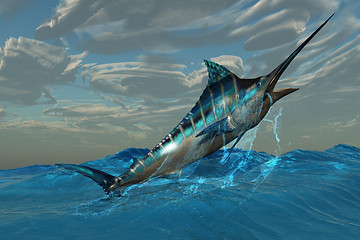 Image showing Blue Marlin Jump