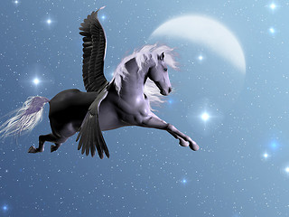 Image showing Starlight Pegasus