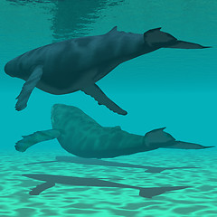 Image showing THERE BE WHALES