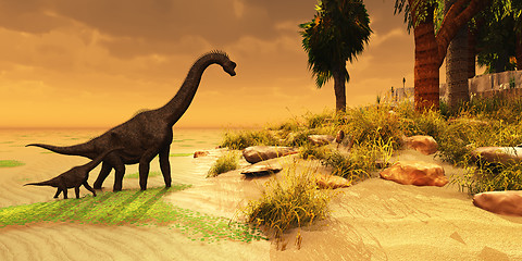 Image showing Brachiosaurus Island