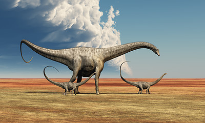 Image showing MOTHER DINOSAUR