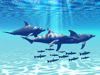 Image showing DOLPHIN PLAY