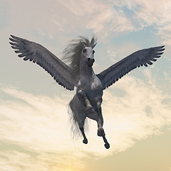 Image showing PEGASUS 2