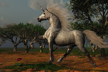 Image showing UNICORN FOREST