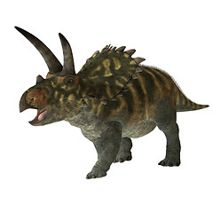 Image showing Coahuilaceratops 01