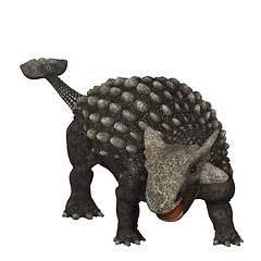 Image showing Ankylosaurus 01