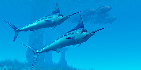 Image showing Marlin 02