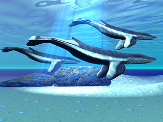 Image showing BLUE WHALE SANCTUARY