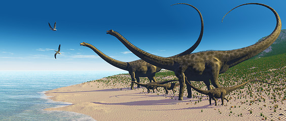 Image showing Diplodocus Herd