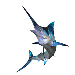 Image showing Marlin 01