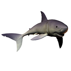 Image showing Mako Shark 01