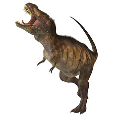 Image showing Tyrannosaurus Rex 02