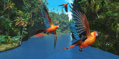 Image showing Cuban Red Macaw 2