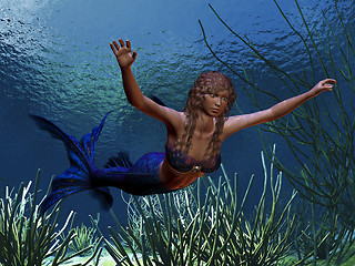 Image showing MERMAID