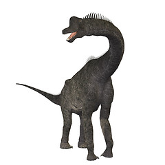 Image showing Brachiosaurus 01