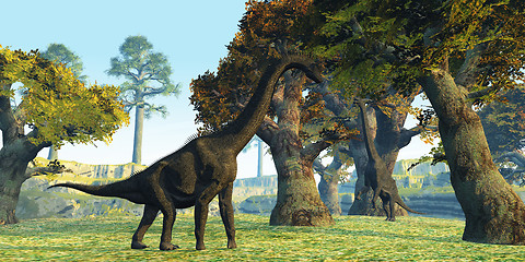 Image showing Brachiosaurus