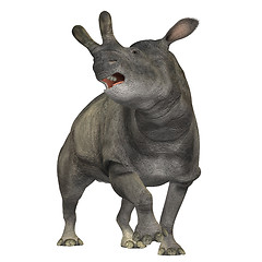 Image showing Brontotherium 01