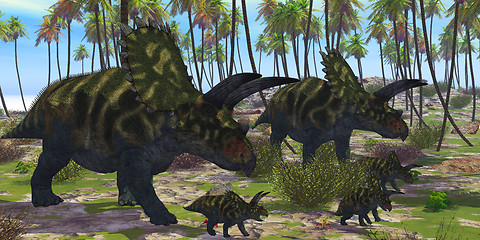 Image showing Coahuilaceratops Dinosaur