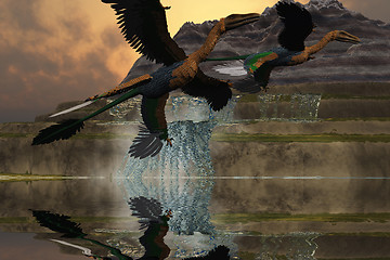 Image showing MICRORAPTOR