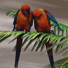 Image showing Parrot Tree