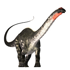 Image showing Apatasaurus 01