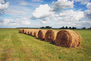 Image showing Straw bales 